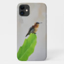 Search for watercolor hummingbird iphone cases Nature