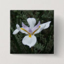 Search for mauve badges Flower