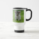 Search for kitten travel mugs Cat