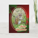 Search for chipmunks christmas cards Nature