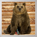 Search for grizzly photography Rustic