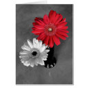 Search for splashes of colour cards Red