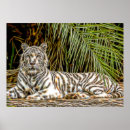 Search for tiger abstract art Wildlife