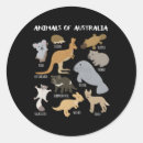 Search for australian animals stickers Koalas