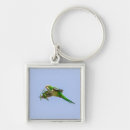 Search for “monk” key rings Monk parakeet