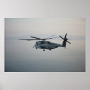 Search for stallion posters Helicopters