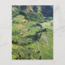 Search for arable Yunnan province