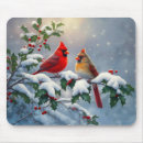 Search for red cardinal electronics Snow