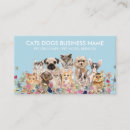 Search for pet grooming business cards Cats