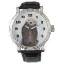 Search for animal watches wildlife