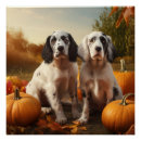 Search for english setter art Pet