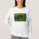 Search for conservatory tshirts Darrell gulin