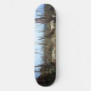 Search for cactus skateboards Landscape