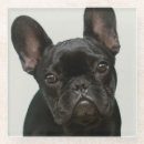 Search for bulldog coasters Baby animals