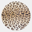 Search for leopard print design stickers Fashion