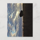 Search for tallgrass postcards Bison