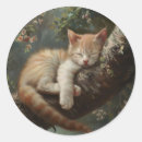 Search for kitten sleeping stickers Cute