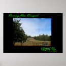 Search for vineyard posters Vines