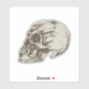 Search for skull drawing stickers Halloween