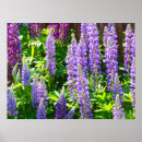 Search for blumen posters Pink