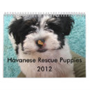 Search for puppy calendars Pups