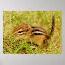 Search for little tiny posters Adorable