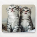 Search for two cats mousepads Pet