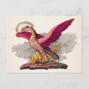 Search for 1800s postcards Retro