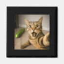 Search for shock magnets Cat