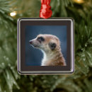 Search for meerkat christmas tree decorations Animal