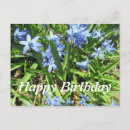 Search for pretty blue birthday cards Nature
