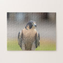 Search for jersey puzzles Hudson river