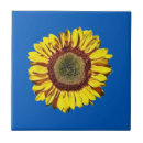 Search for ukraine tiles Yellow