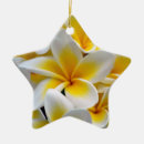 Search for plumeria christmas tree decorations Frangipani