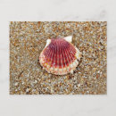 Search for scallops postcards Beach