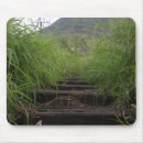 Search for beams mousepads Close up