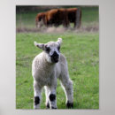 Search for lamb art Young