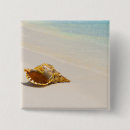 Search for shell badges Waves