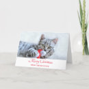 Search for grey cat christmas cards Kitty