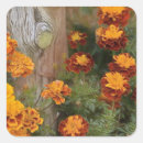 Search for marigolds stickers Orange