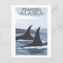 Search for wrangell postcards Original