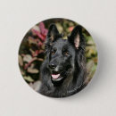 Search for black haired badges Dog