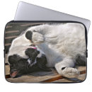 Search for cat laptop cases Black and white cat