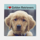 Search for dog ear magnets Puppy