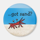 Search for animation magnets Summer