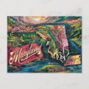 Search for marylander postcards United states