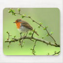 Search for robin mousepads Animals