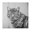 Search for black and white cat tiles Animals