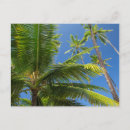 Search for animals of hawaii postcards Hawaiian