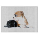 Search for old tyme Old tyme british bulldog